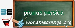 WordMeaning blackboard for prunus persica